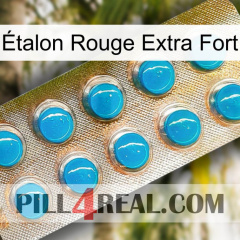 Étalon Rouge Extra Fort new09
